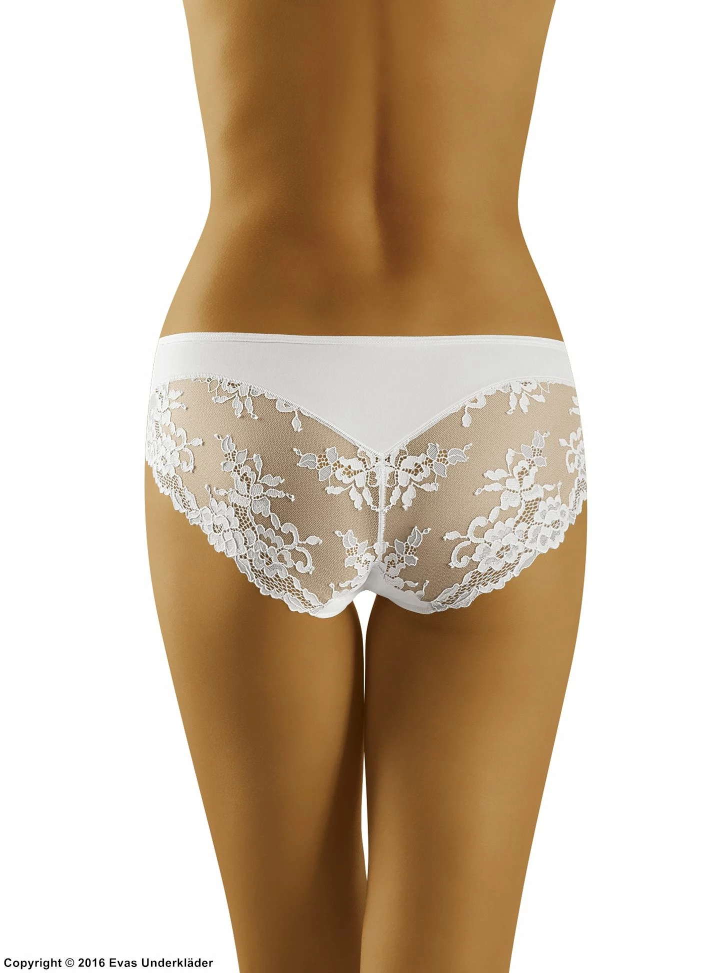 Romantic Panties, Soft Microfiber, Lace Panels, Plain Front 3 Romantic Panties, Soft Microfiber, Lace Panels, Plain Front - Image 3