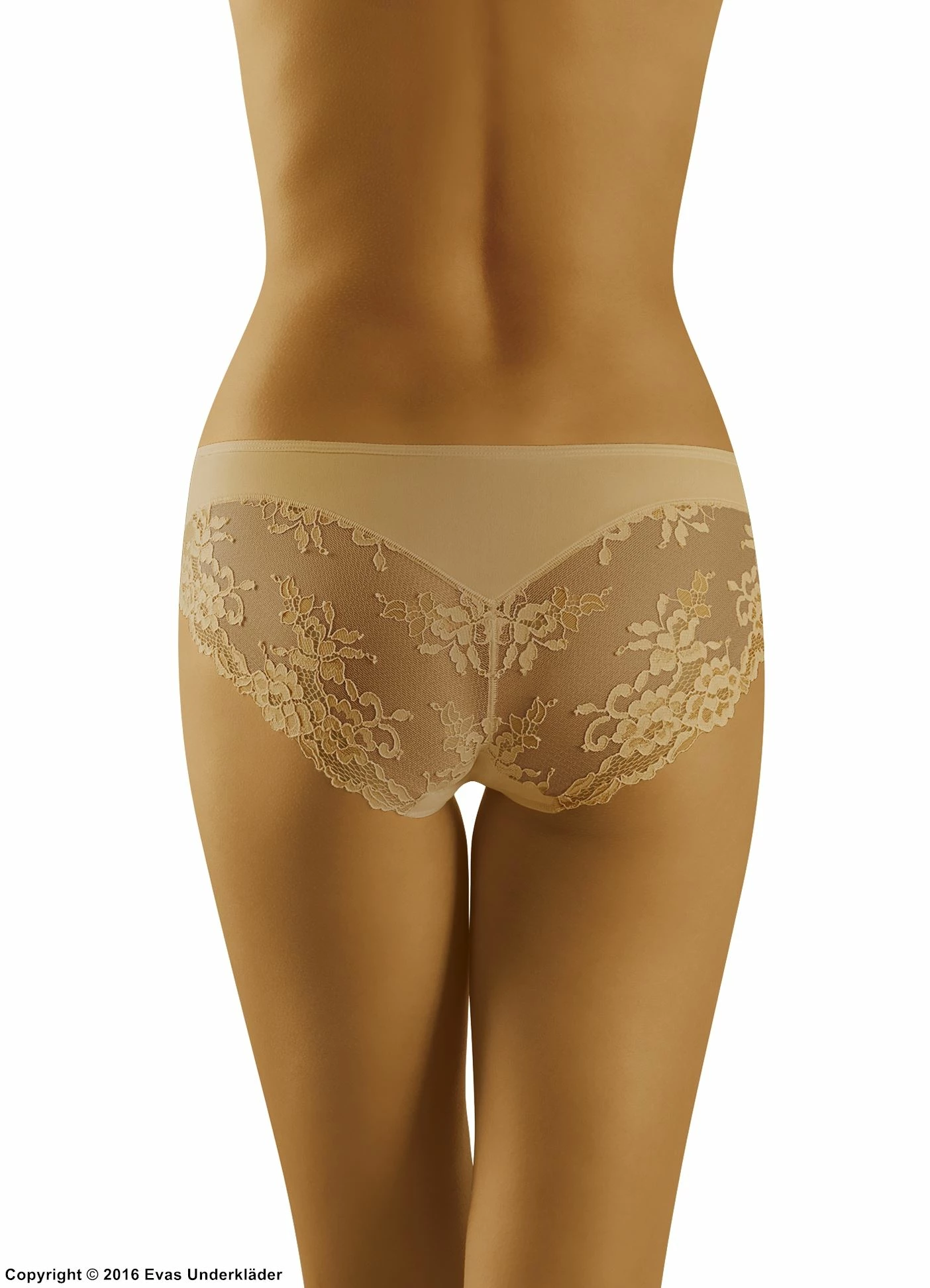 Romantic Panties, Soft Microfiber, Lace Panels, Plain Front 5 Romantic Panties, Soft Microfiber, Lace Panels, Plain Front - Image 5