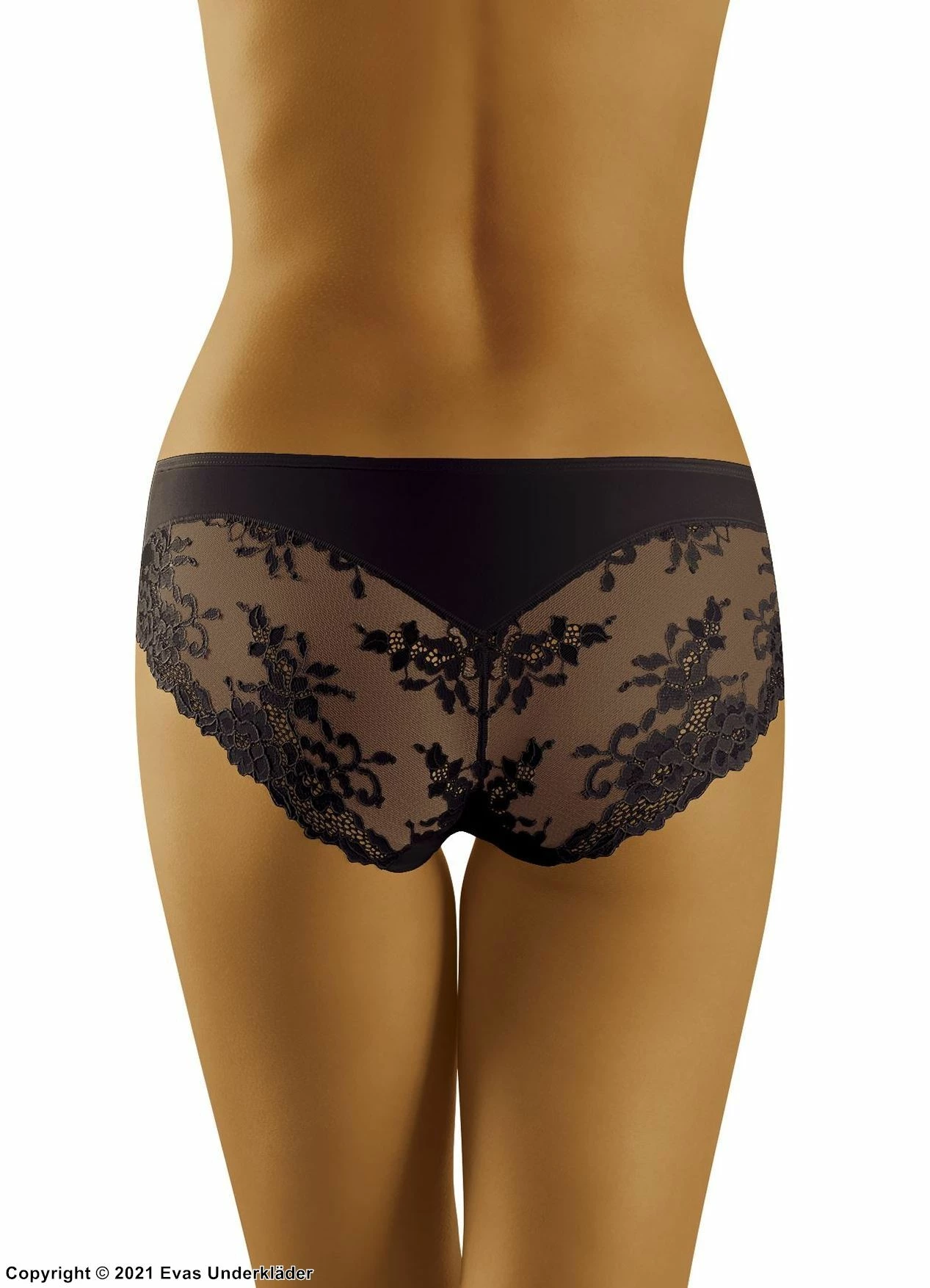 Romantic Panties, Soft Microfiber, Lace Panels, Plain Front 1 Romantic Panties, Soft Microfiber, Lace Panels, Plain Front