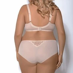 Classic Briefs, Microfiber, Lace Inlays -EVA’s  INTIMATES Shop g string 2117 go k325 adele 5B65D 5Bfullsize5D