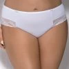 Classic Briefs, Microfiber, Lace Inlays