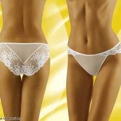 Beautiful Briefs, Sheer Mesh And Lace -EVA’s  INTIMATES Shop g string 2168 wo elen 5B25D 5Bfullsize5D
