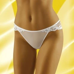 Beautiful Briefs, Sheer Mesh And Lace