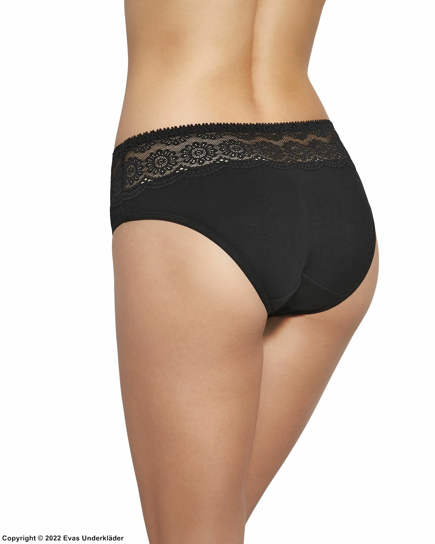 Beautiful Briefs, Cotton, Floral Lace 4 Beautiful Briefs, Cotton, Floral Lace - Image 4