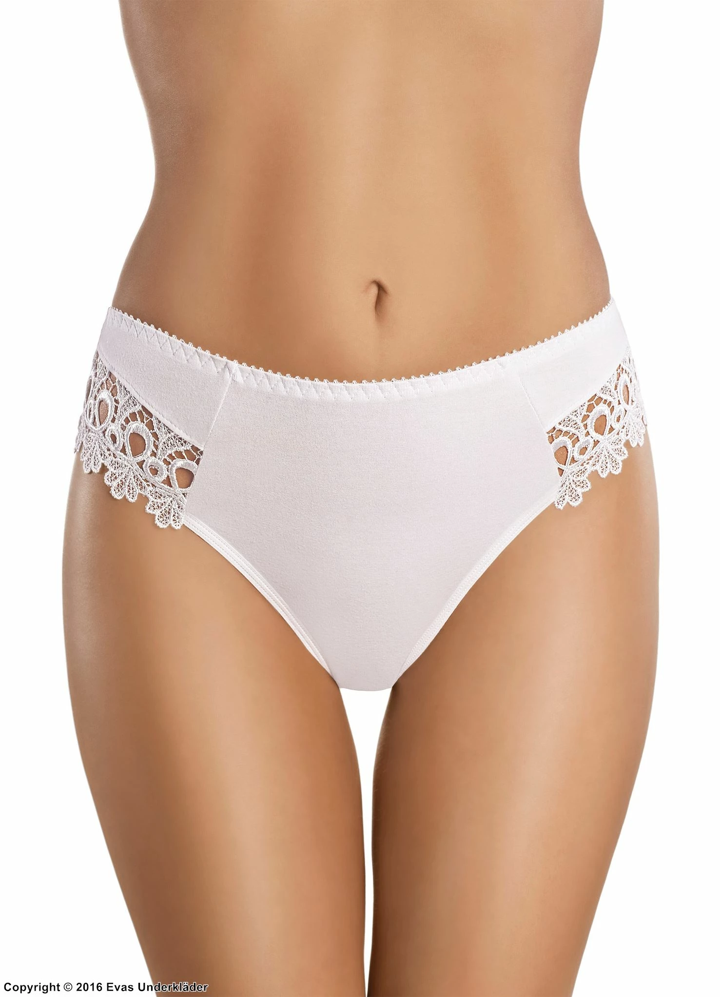 Classic Briefs, Cotton, Lace Application 1 Classic Briefs, Cotton, Lace Application