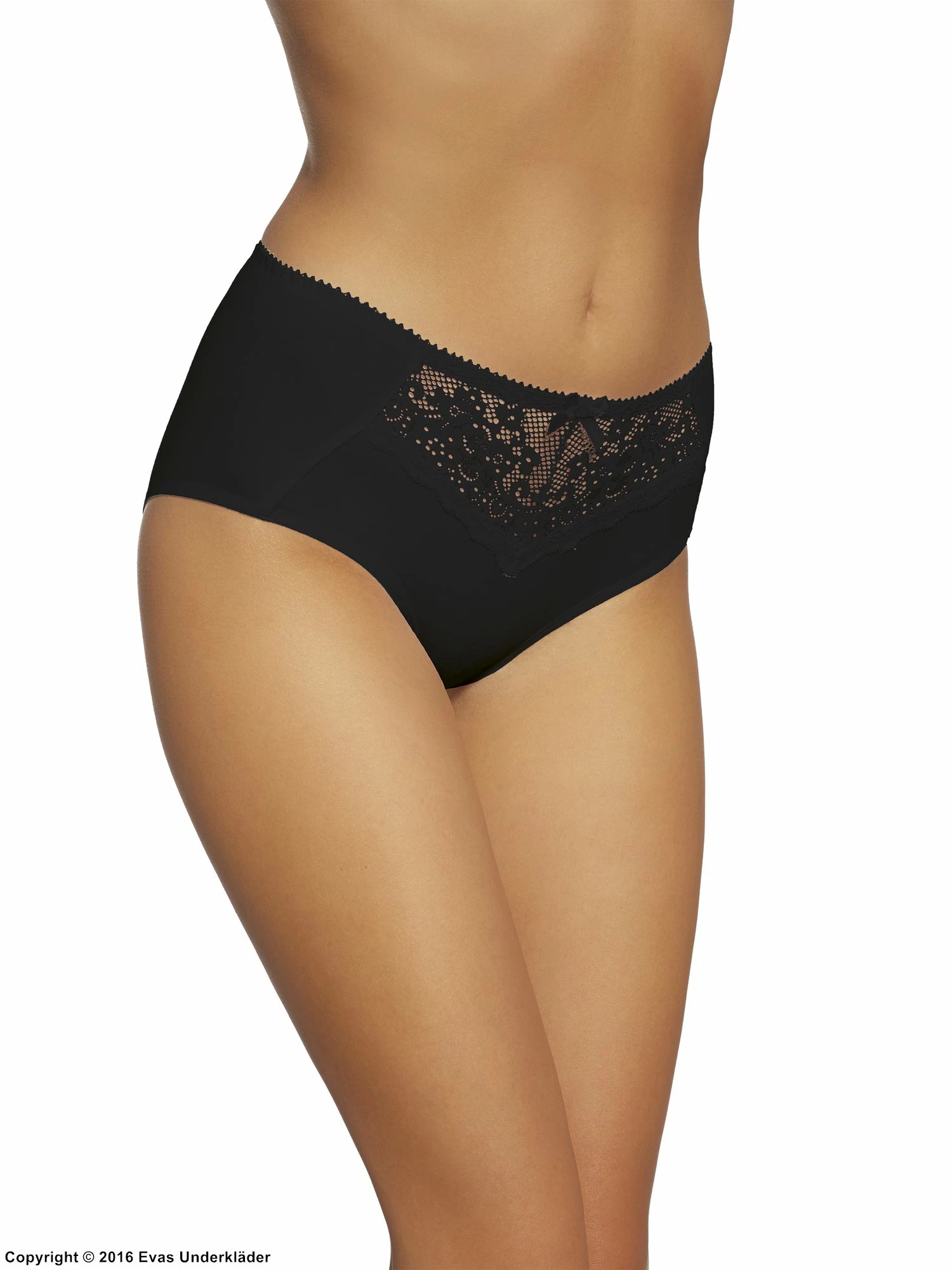 Classic Briefs, Lace Panel 3 Classic Briefs, Lace Panel - Image 3