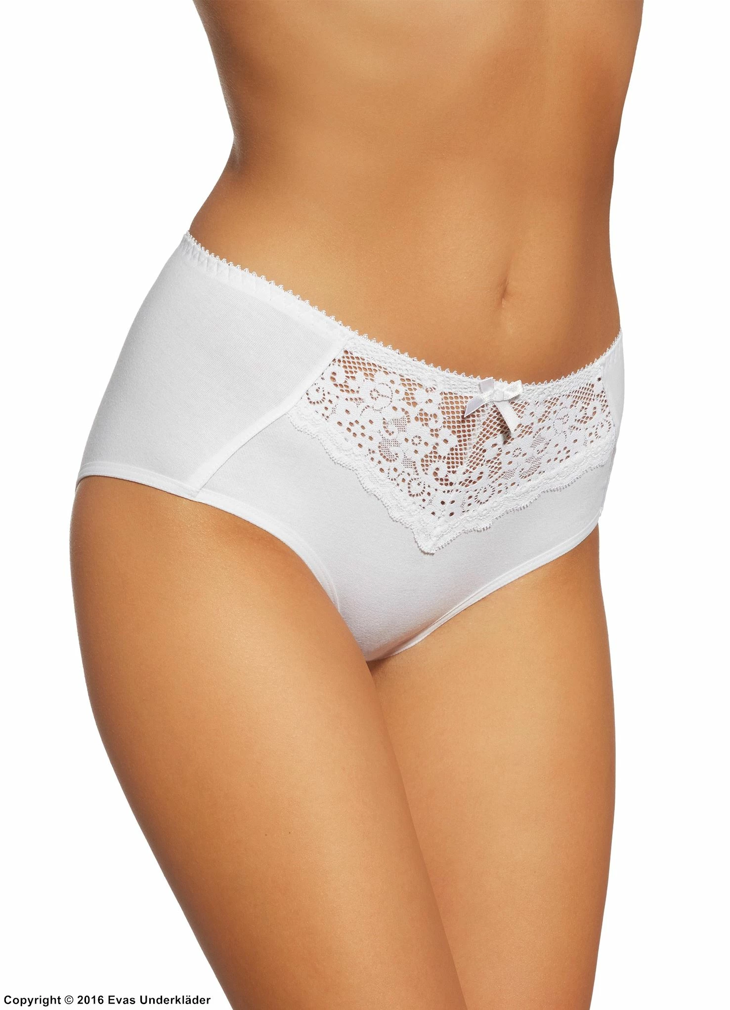 Classic Briefs, Lace Panel 1 Classic Briefs, Lace Panel
