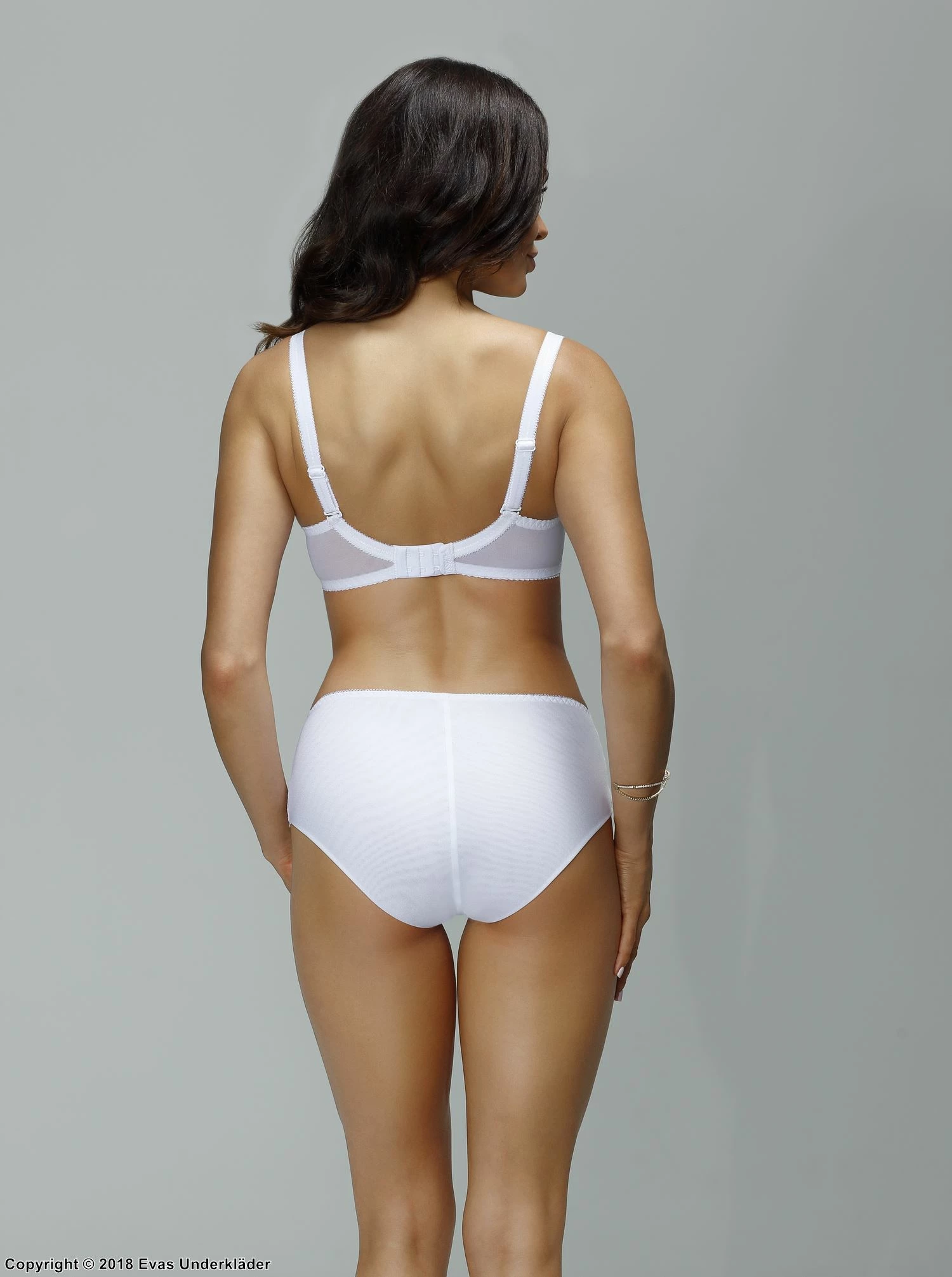 Romantic Panties, Sheer Mesh, Lace 3 Romantic Panties, Sheer Mesh, Lace - Image 3