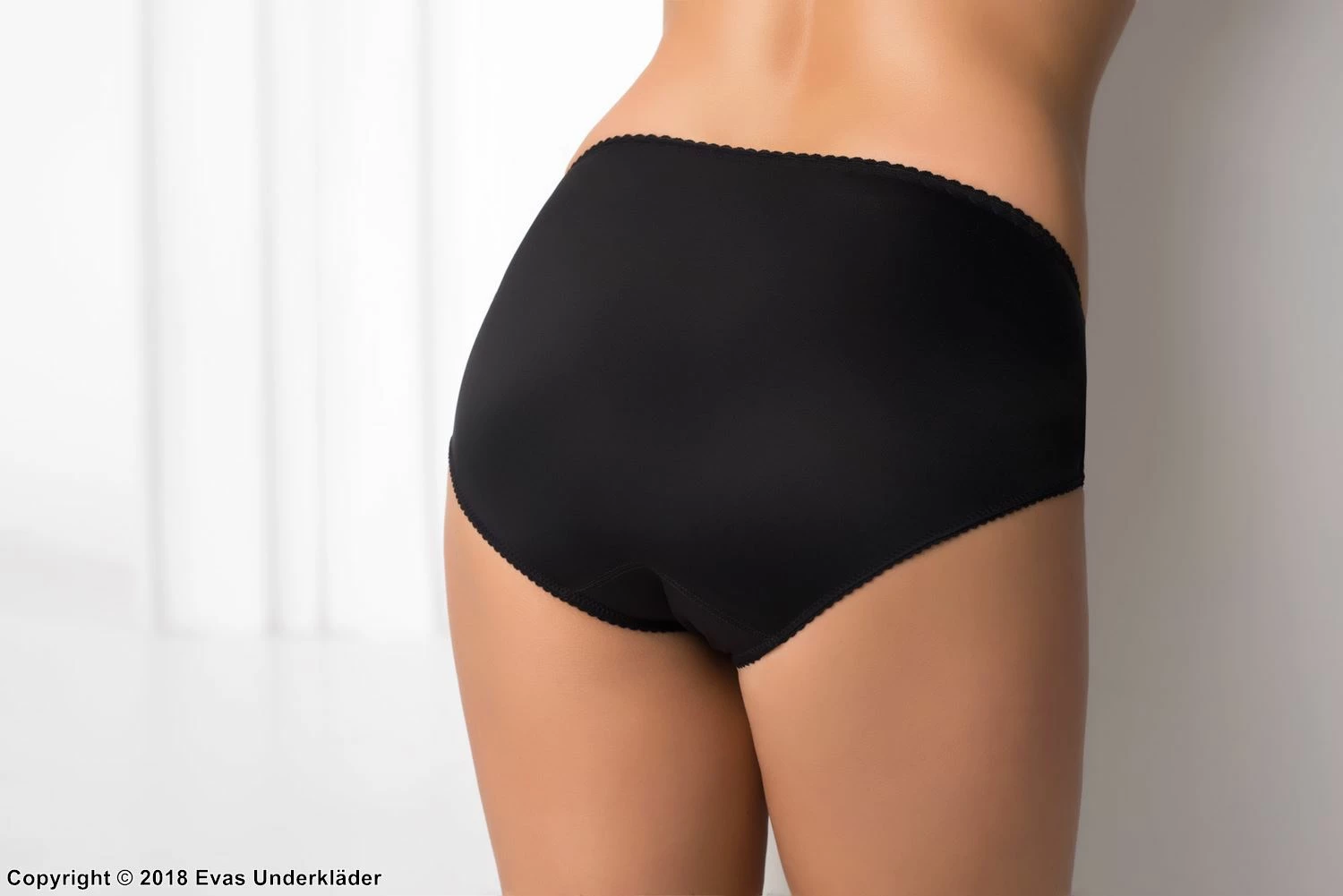 Classic Briefs, Sheer Inlays, Paisley 2 Classic Briefs, Sheer Inlays, Paisley - Image 2