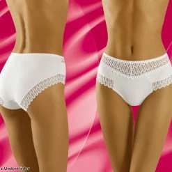 Briefs, Cotton, Lace Inlays 6 Briefs, Cotton, Lace Inlays -EVA’s INTIMATES Shop g string 2366 wo eco to 5B25D 5Bfullsize5D