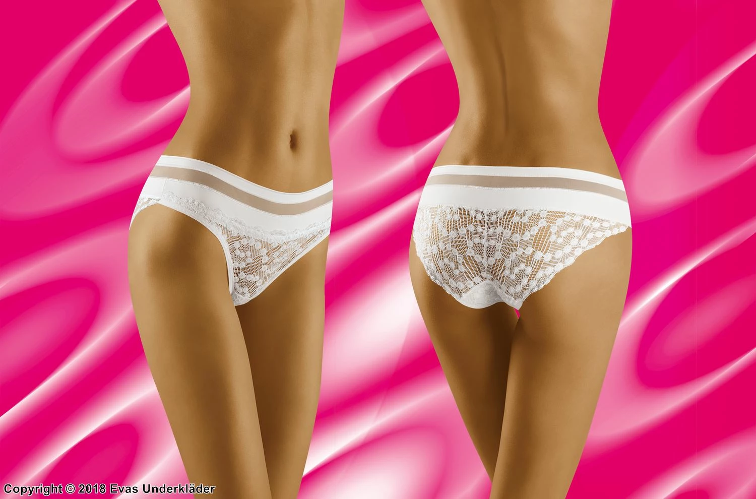 Classic Briefs, Sheer Mesh, Intricate Lace 3 Classic Briefs, Sheer Mesh, Intricate Lace - Image 3