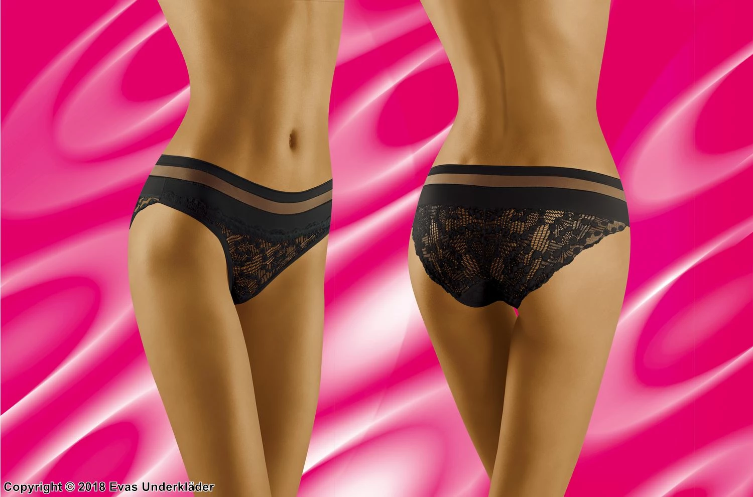 Classic Briefs, Sheer Mesh, Intricate Lace 4 Classic Briefs, Sheer Mesh, Intricate Lace - Image 4