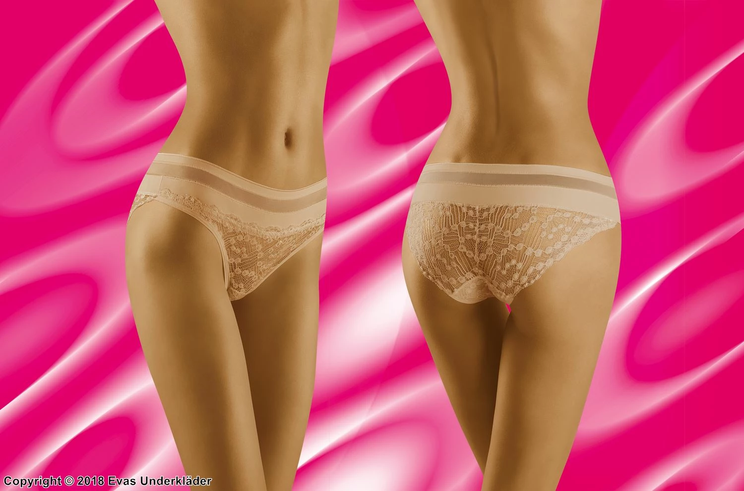 Classic Briefs, Sheer Mesh, Intricate Lace 5 Classic Briefs, Sheer Mesh, Intricate Lace - Image 5