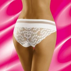 Classic Briefs, Sheer Mesh, Intricate Lace