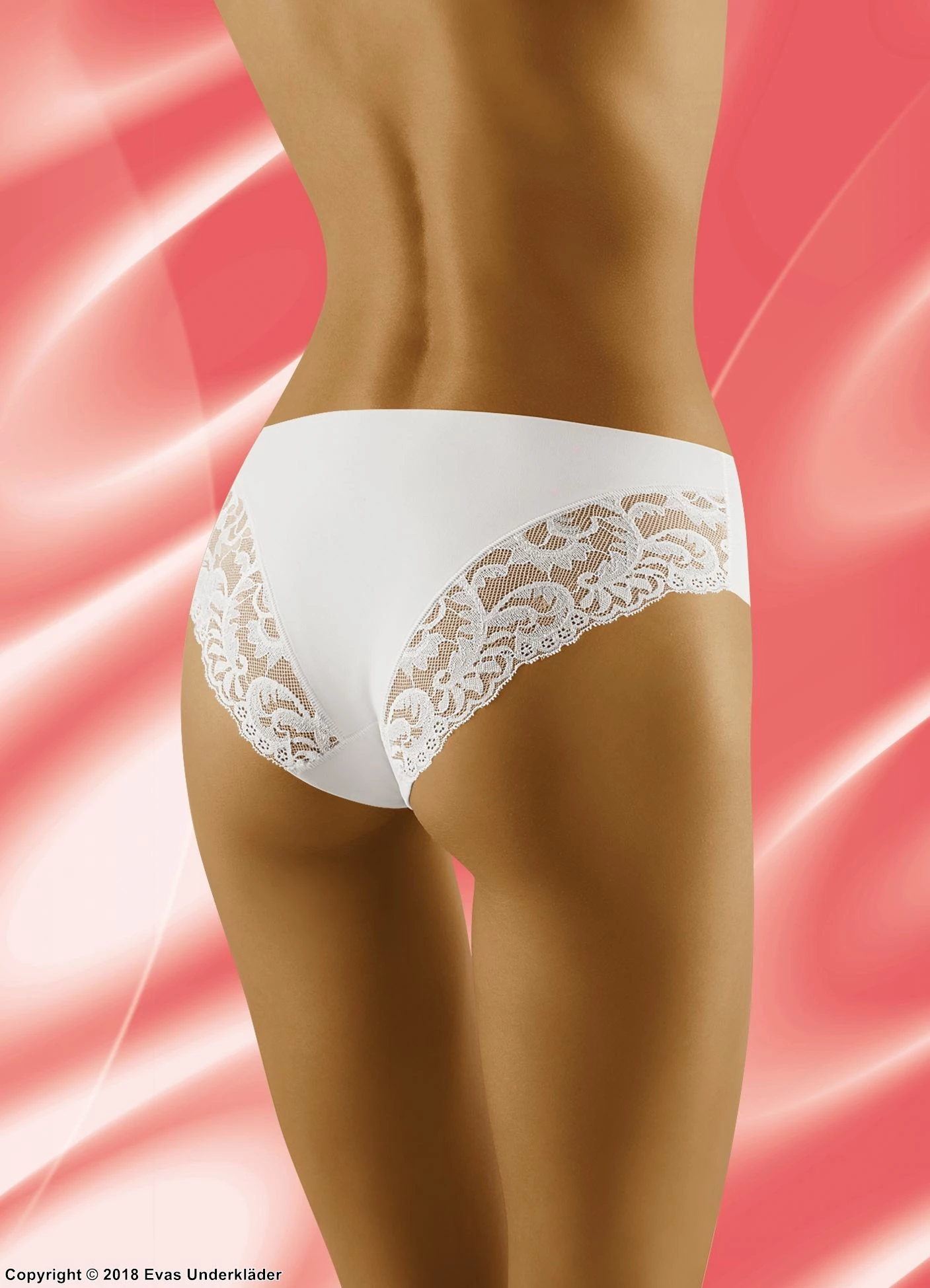 Classic Briefs, Microfiber, Wide Lace Edge, Plain Front 1 Classic Briefs, Microfiber, Wide Lace Edge, Plain Front