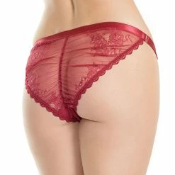 Beautiful Panties, Sheer Lace, Wrinkles, Plus Size