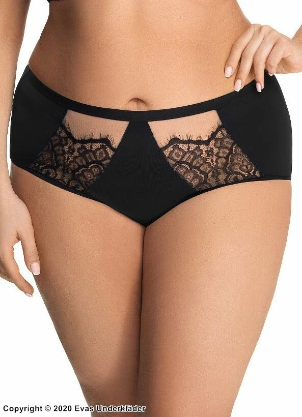 Brazilian Panties, Sheer Inlays, Eyelash Lace 5 Brazilian Panties, Sheer Inlays, Eyelash Lace - Image 5