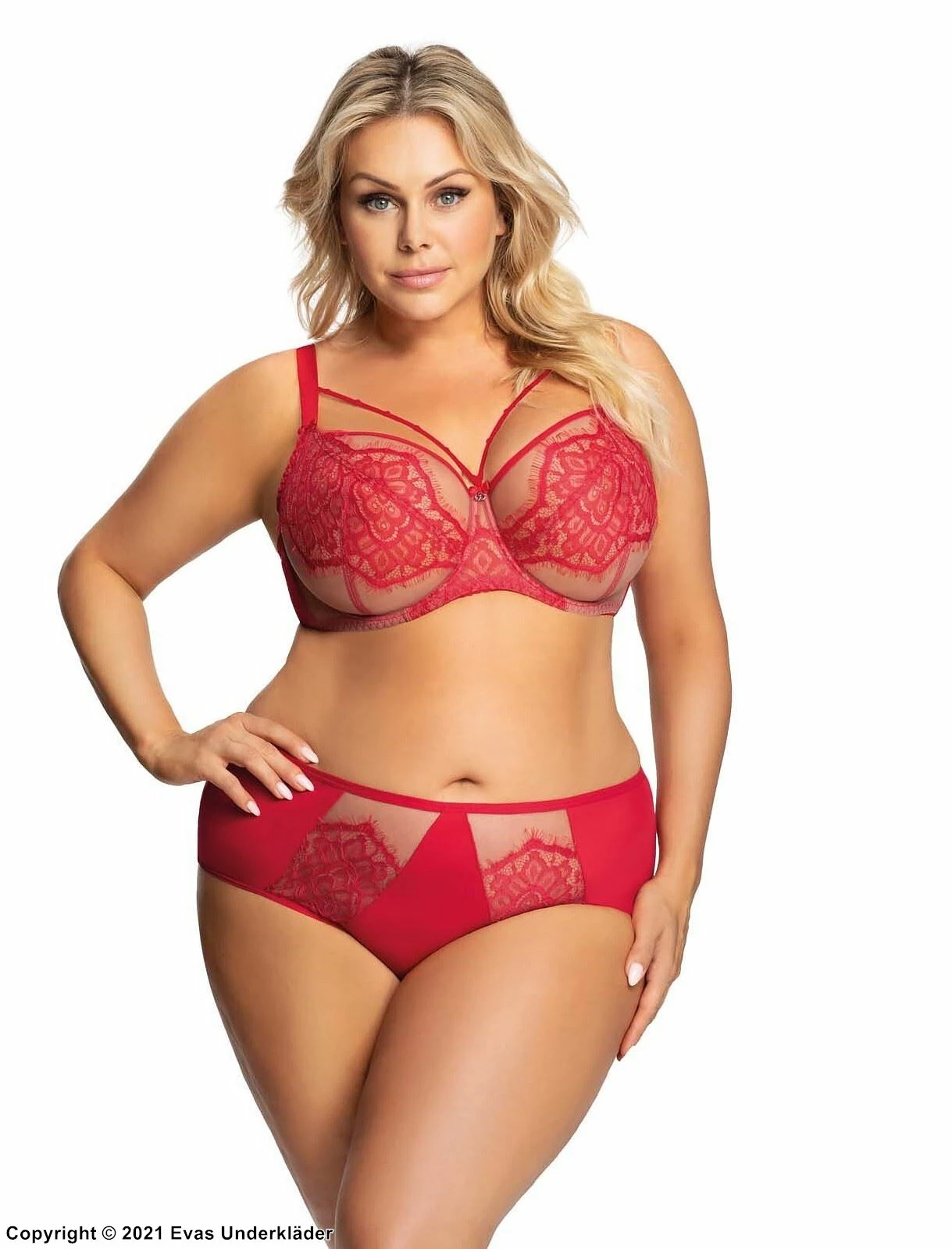 Brazilian Panties, Sheer Inlays, Eyelash Lace 6 Brazilian Panties, Sheer Inlays, Eyelash Lace - Image 6