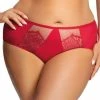 Brazilian Panties, Sheer Inlays, Eyelash Lace
