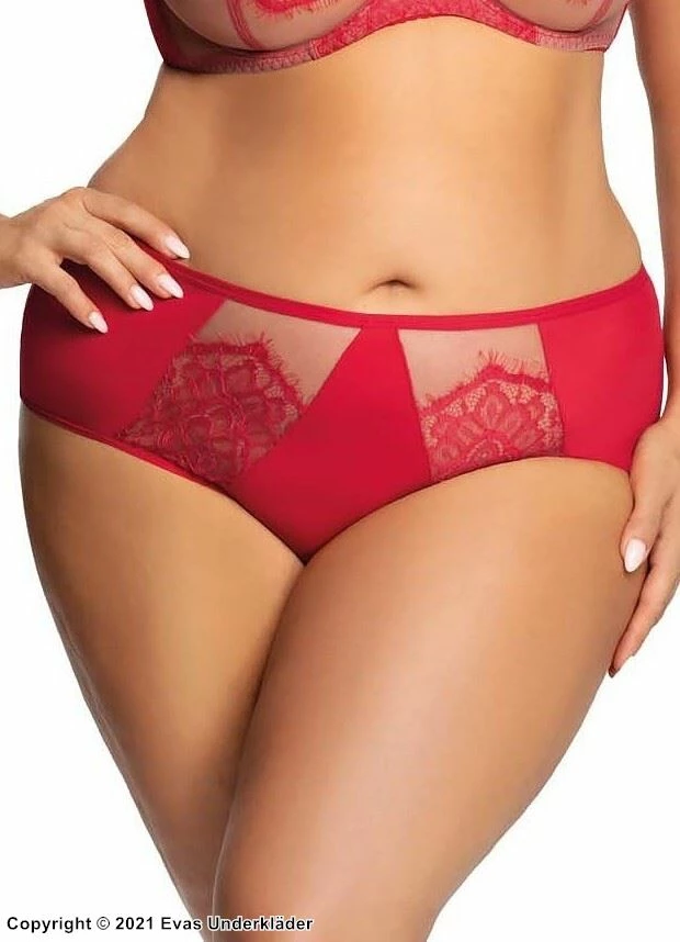 Brazilian Panties, Sheer Inlays, Eyelash Lace 1 Brazilian Panties, Sheer Inlays, Eyelash Lace
