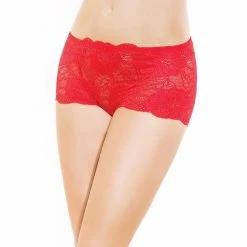 Romantic Boyshort Panties, Sheer Mesh, Floral Lace, Slightly Higher Waist -EVA’s  INTIMATES Shop panty 37 ce 217 5B55D 5Bfullsize5D