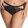 Brazilian Panties, Sheer Inlays, Luxurious Lace