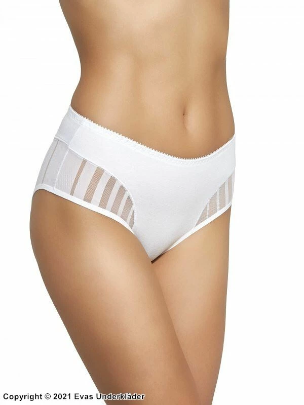 Classic Briefs, Sheer Inlays, Slightly Higher Waist 2 Classic Briefs, Sheer Inlays, Slightly Higher Waist - Image 2