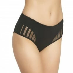 Classic Briefs, Sheer Inlays, Slightly Higher Waist 6 Classic Briefs, Sheer Inlays, Slightly Higher Waist -EVA’s INTIMATES Shop panty 39 gd 193 5B25D 5Bfullsize5D