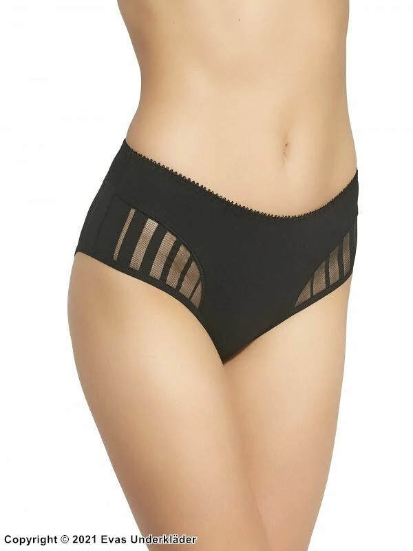 Classic Briefs, Sheer Inlays, Slightly Higher Waist 3 Classic Briefs, Sheer Inlays, Slightly Higher Waist - Image 3
