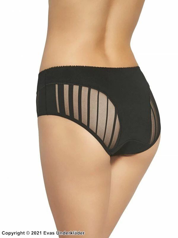 Classic Briefs, Sheer Inlays, Slightly Higher Waist 4 Classic Briefs, Sheer Inlays, Slightly Higher Waist - Image 4