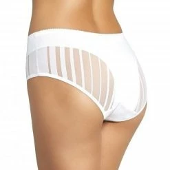 Classic Briefs, Sheer Inlays, Slightly Higher Waist