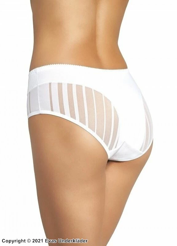 Classic Briefs, Sheer Inlays, Slightly Higher Waist 1 Classic Briefs, Sheer Inlays, Slightly Higher Waist