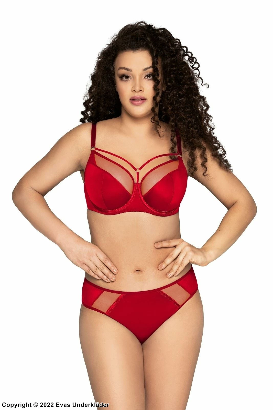 Brazilian Panties, Sheer Inlays 2 Brazilian Panties, Sheer Inlays - Image 2