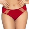 Brazilian Panties, Sheer Inlays
