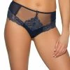 Brazilian Panties, Sheer Mesh, Lace Inlays