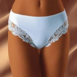 Elegant Panties, Embroidery, Sheer Inlays