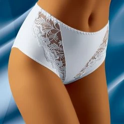 High Waist Panties, Sheer Mesh, Embroidery, Slightly Higher Waist, Flowers