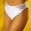 Classic Briefs, Sheer Inlays, Slightly Higher Waist, Scrollwork Pattern