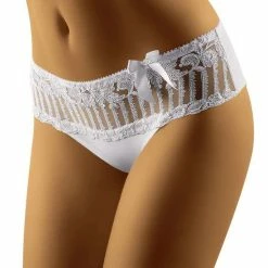 Beautiful Panties, Sheer Mesh, Embroidery, Bow