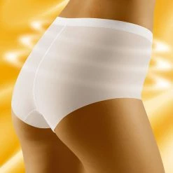 Maxi Briefs, Smooth And Comfortable Fabric, Slightly Higher Waist 11 Maxi Briefs, Smooth And Comfortable Fabric, Slightly Higher Waist -EVA’s INTIMATES Shop shaping panty 206 wo minima 5B45D 5Bfullsize5D