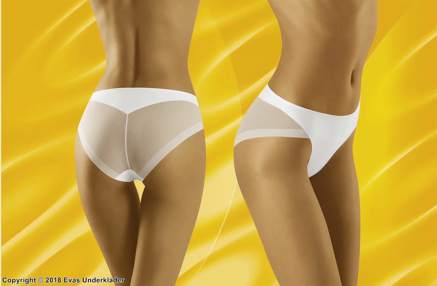 Comfortable Panties, High Quality, Mesh Inlay 9 Comfortable Panties, High Quality, Mesh Inlay - Image 9