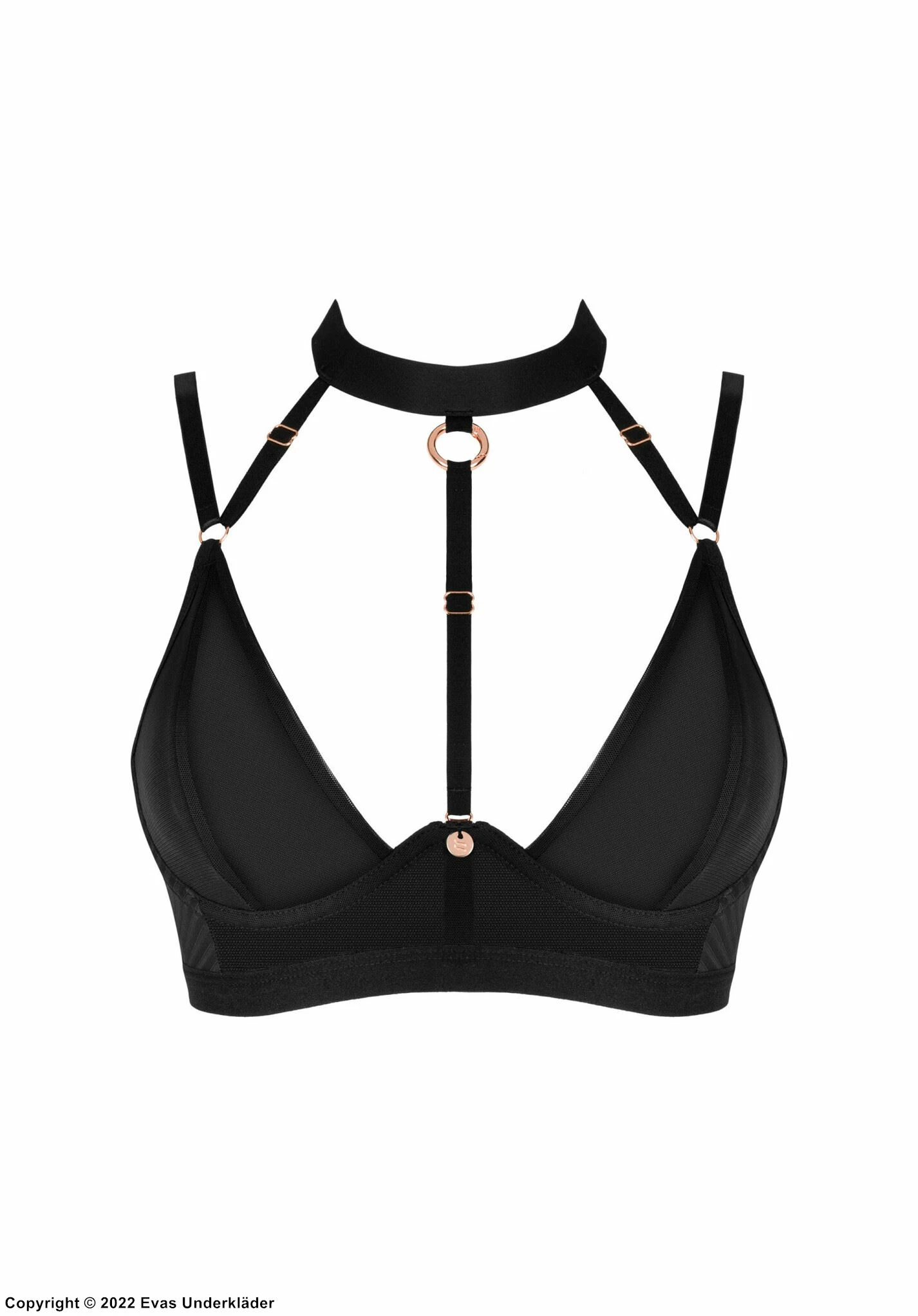 Special Bra 5 Special Bra - Image 5