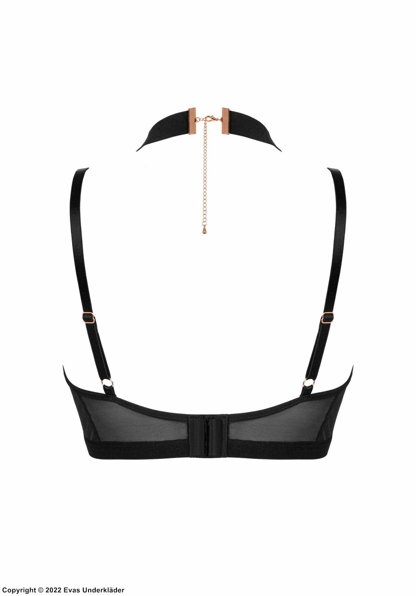 Special Bra 6 Special Bra - Image 6