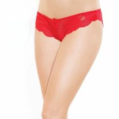 Beautiful Briefs, Stretch Lace, Flowers -EVA’s  INTIMATES Shop tai panty 109 ce 220 5B55D 5Bfullsize5D